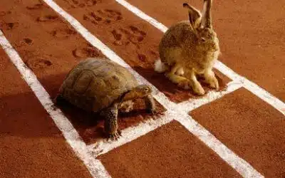 Slow and Steady Beats Not at All