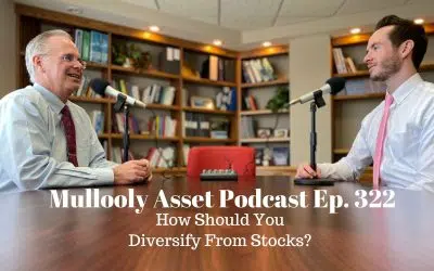 How Should You Diversify From Stocks?