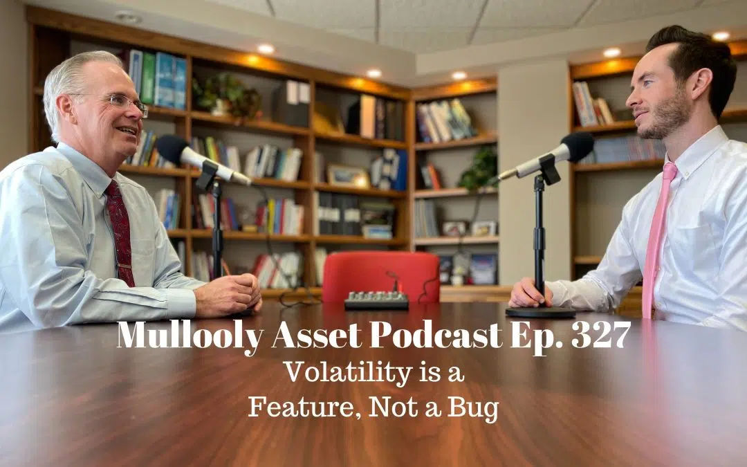 Volatility is a Feature, Not a Bug