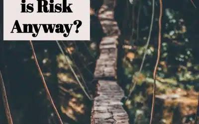 So, What is Risk Anyway?